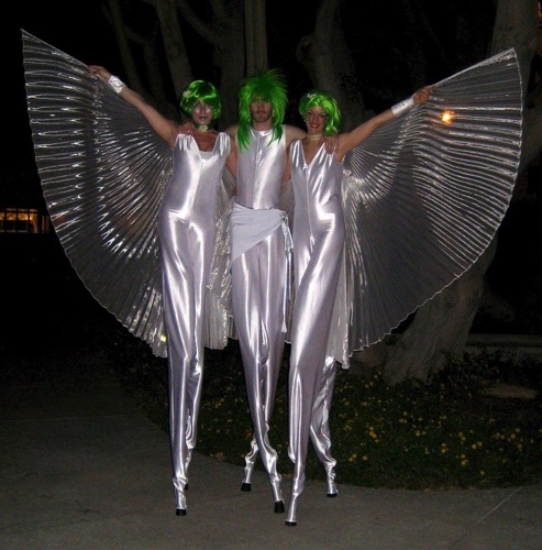 Shiny White Winged Shiny White Winged